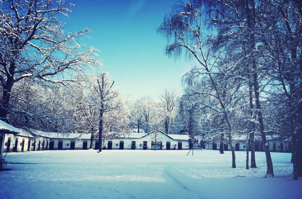 Chantilly